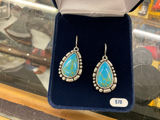 MONTANA SILVER-PRICKLY PEAR TQ- ER6126