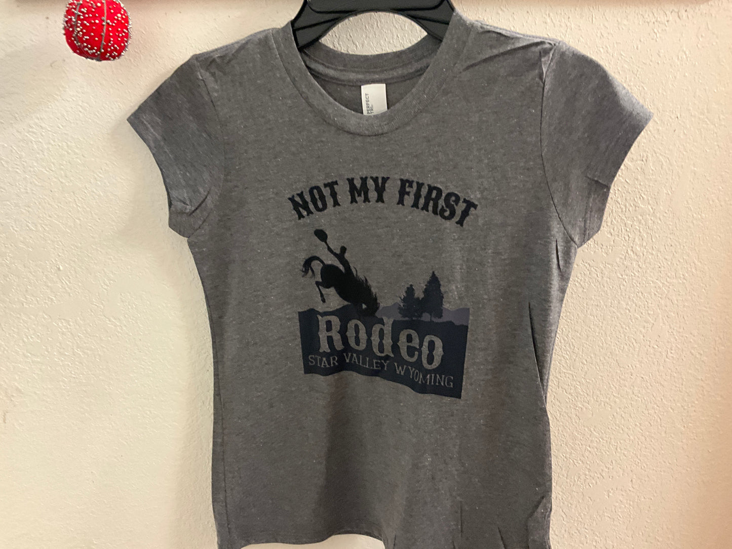 SWIFTWEAR- YOUTH PERFECT TRI SS TEE- DT130Y/WY