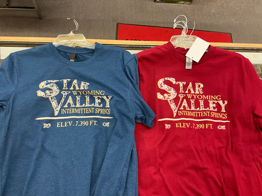 SWIFTWEAR T-SHIRT: STAR VALLEY WYOMING INTERMITTENT SPRINGS PRINT 10211