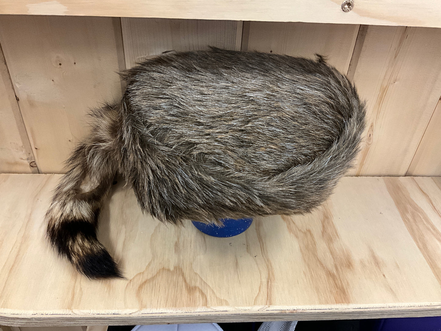 PAWNEE BILL’S- COON TAIL CAP-80X