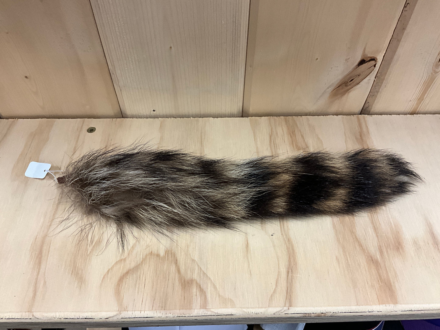 PAWNEE BILL’S- COON TAIL-CT