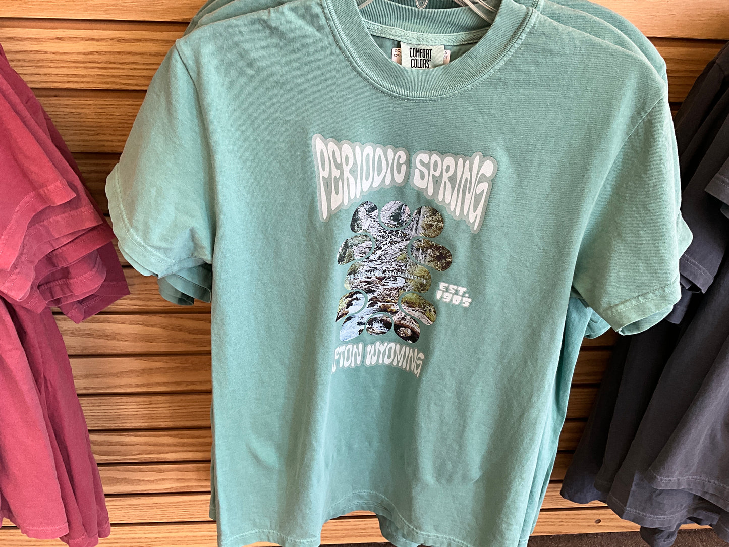 Comfort Colors SwiftWear Wyoming Graphic T-Shirts-1717WY