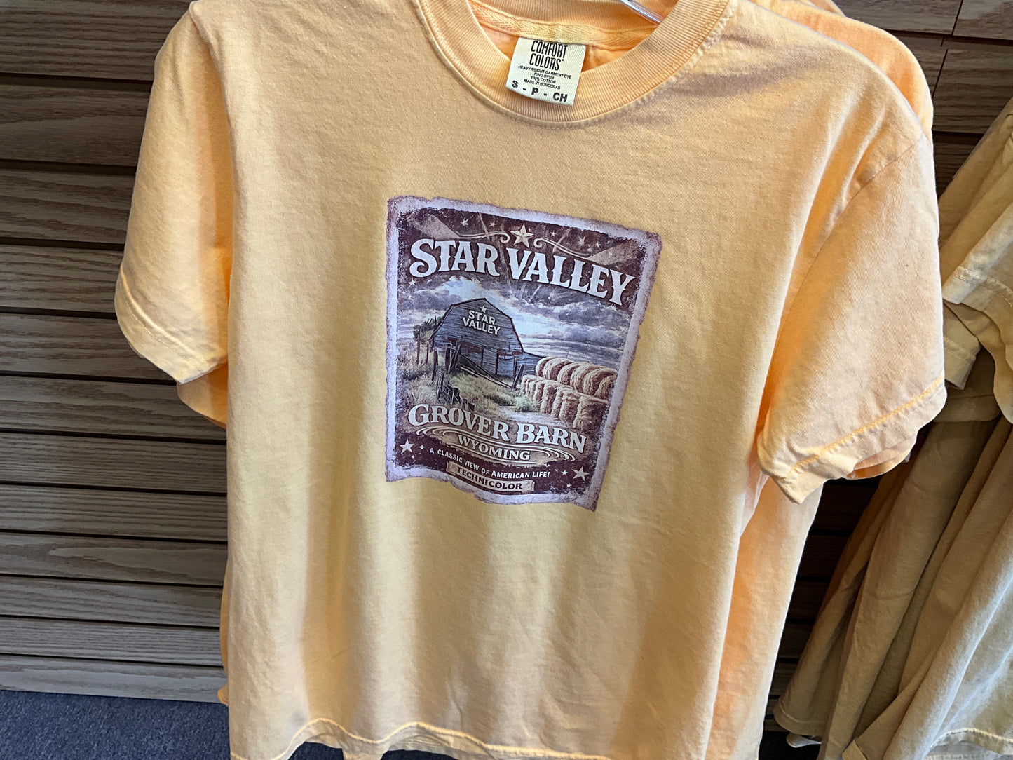 Comfort Colors SwiftWear Wyoming Graphic T-Shirts-1717WY