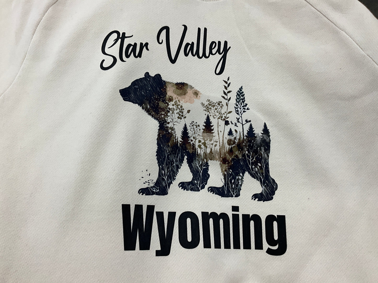 SWIFTWEAR STAR VALLEY BEAR HOODIE DT7800SVB