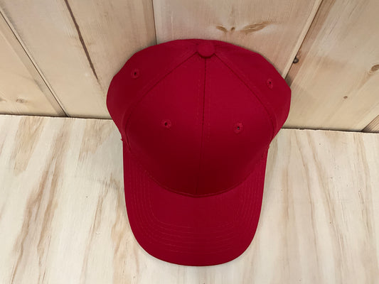 SWIFTWEAR-YOUTH SIX PANEL TWILL CAP - YCP80