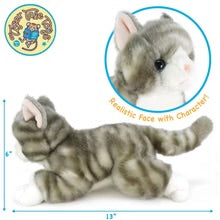 FAIRE Gavin The Grey Tabby Cat | 13 Inch Stuffed Animal Plush | By TigerHart Toys