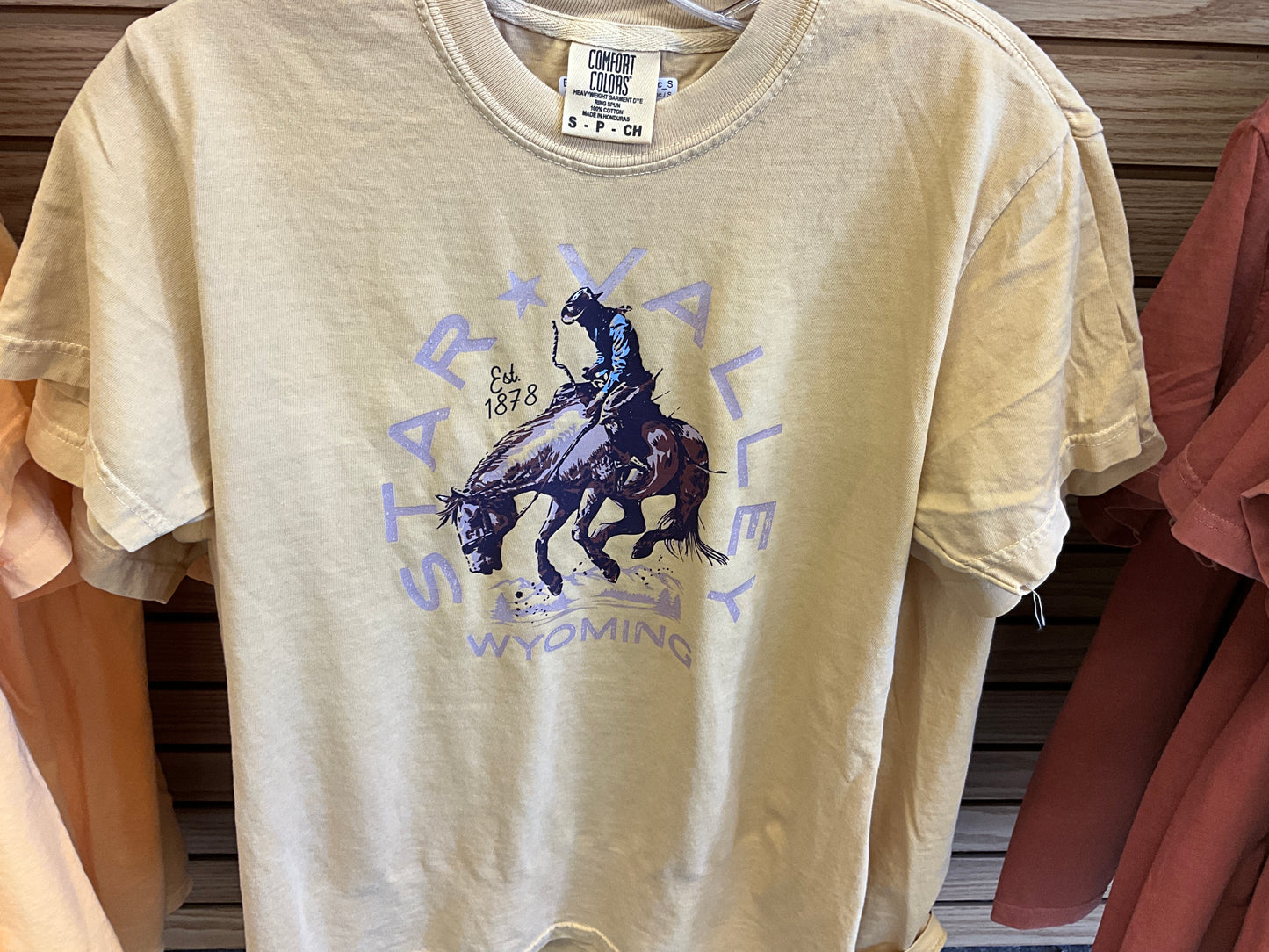 Comfort Colors SwiftWear Wyoming Graphic T-Shirts-1717WY