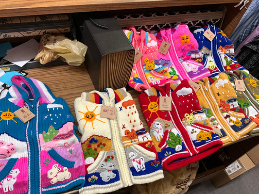 FAIRE MULTI COLORED KIDS SWEATERS ALP00038