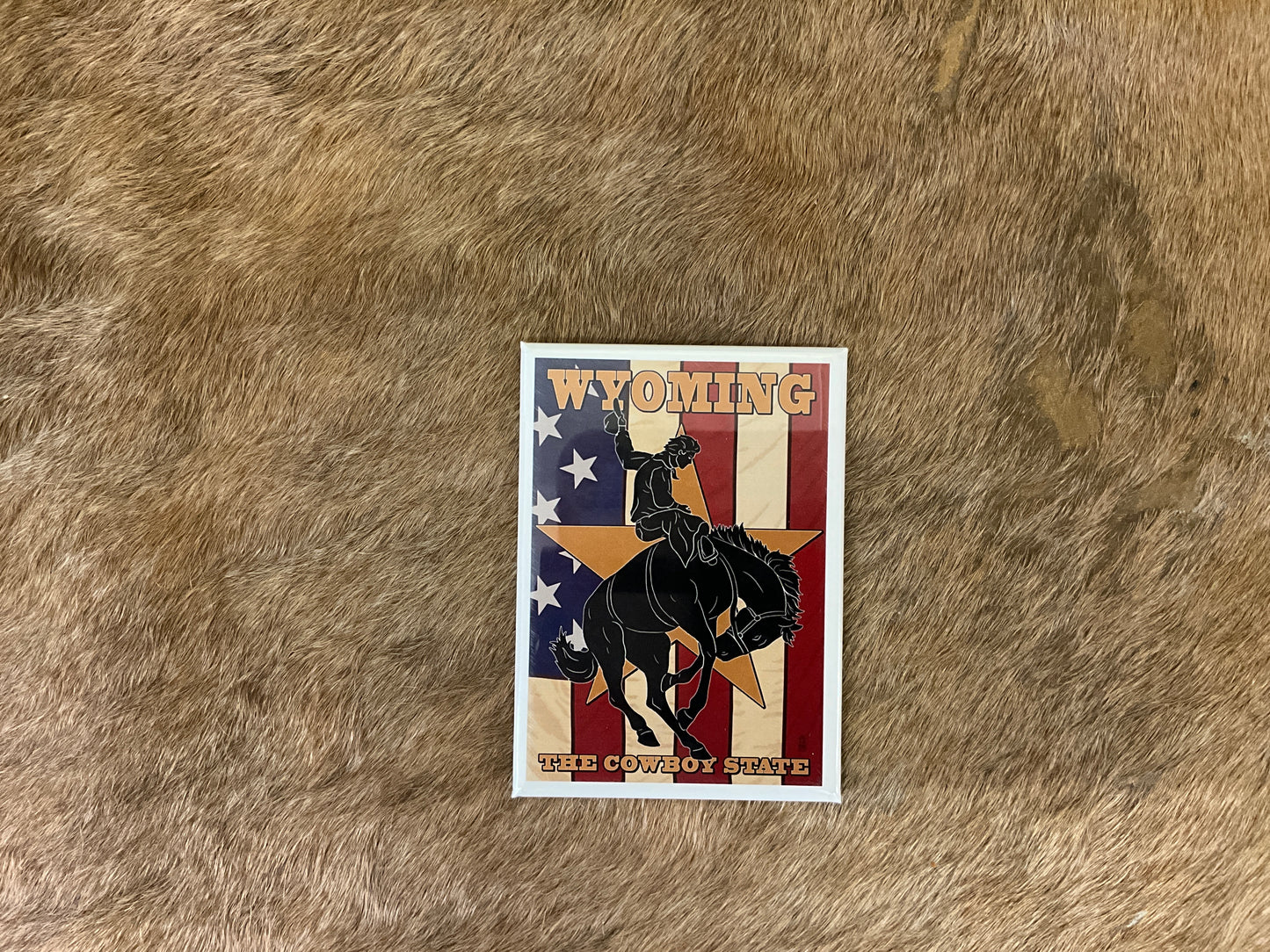 FAIRE- WYOMING COWBOY- MAGNET