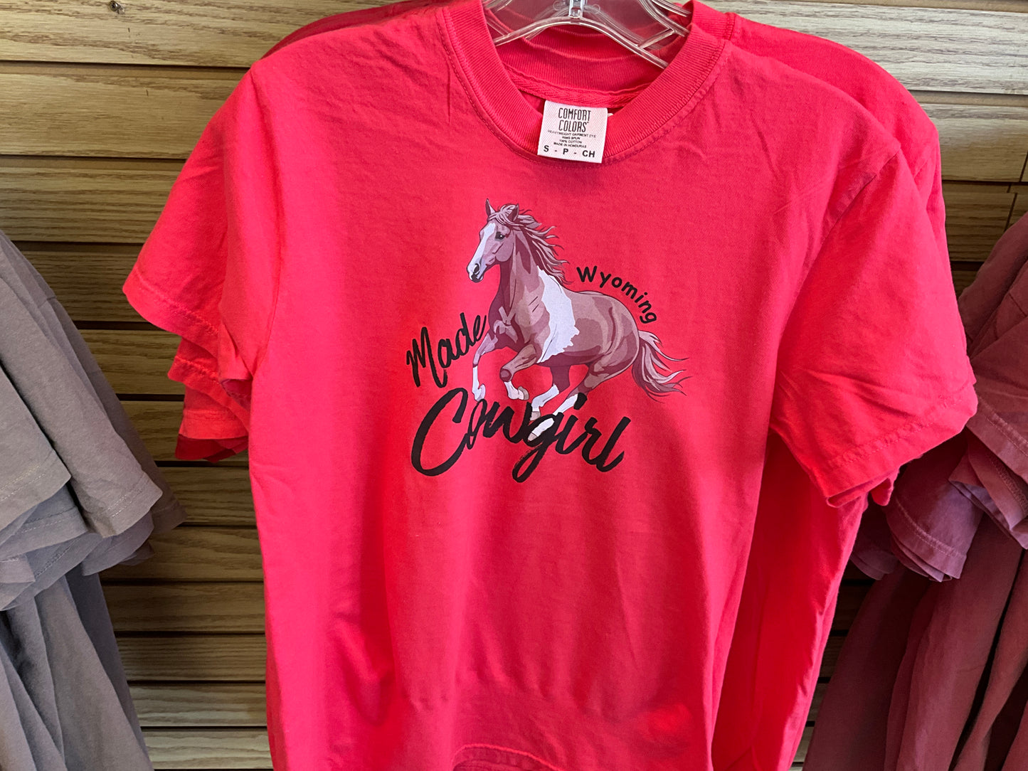 Comfort Colors SwiftWear Wyoming Graphic T-Shirts-1717WY