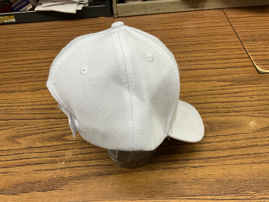 SWIFTWEAR VELCRO BALL CAP- WYV1