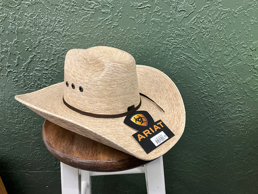 ARIAT- PALM LEAF MV/CLT- A73104